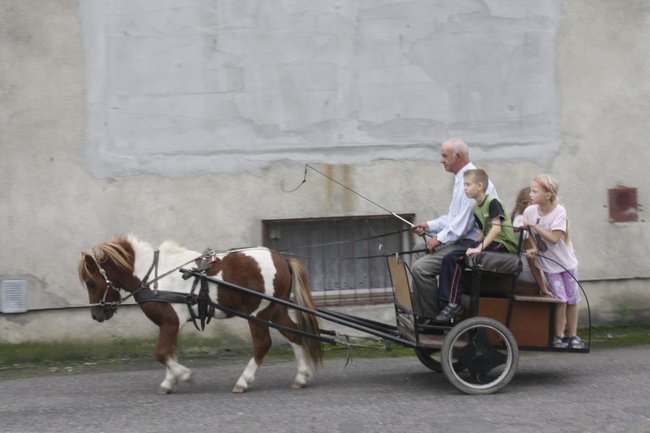 Śmiechu było co niemiara - zdjęcia