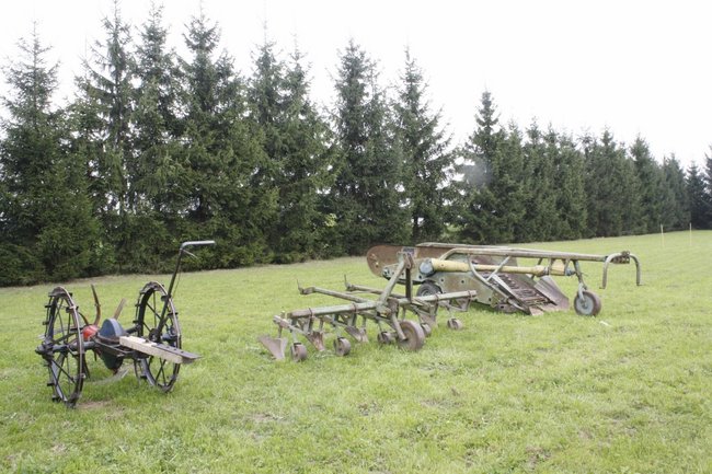 Śmiechu było co niemiara - zdjęcia