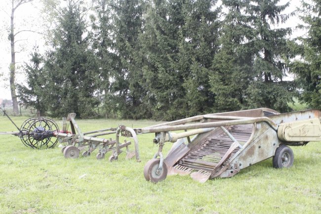 Śmiechu było co niemiara - zdjęcia