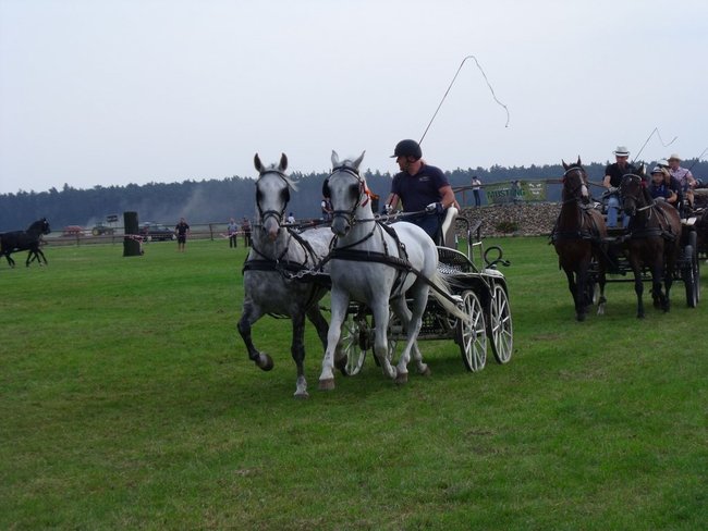 Impreza na szóstkę - zdjęcia