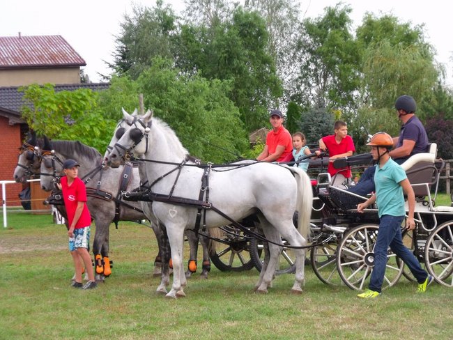 Impreza na szóstkę - zdjęcia