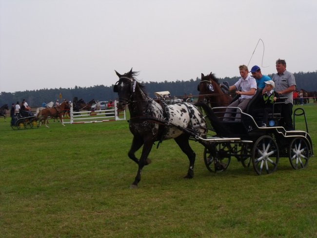 Impreza na szóstkę - zdjęcia
