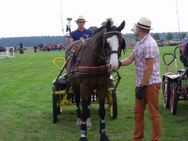 Impreza na szóstkę - zdjęcia