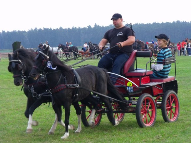 Impreza na szóstkę - zdjęcia