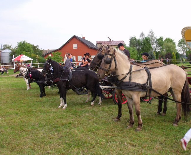 Impreza na szóstkę - zdjęcia