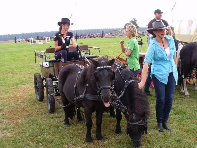 Impreza na szóstkę - zdjęcia