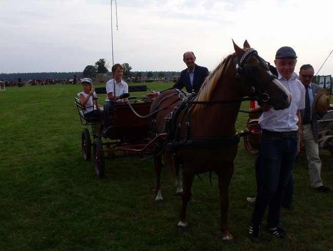 Impreza na szóstkę - zdjęcia