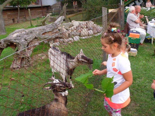 Impreza na szóstkę - zdjęcia