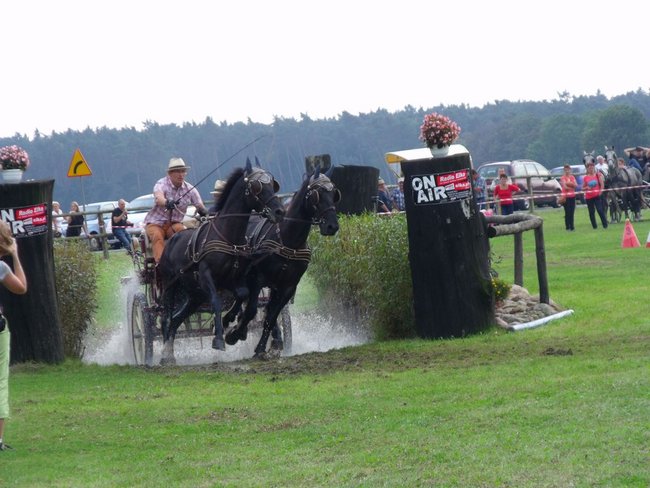 Impreza na szóstkę - zdjęcia