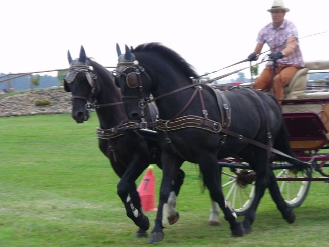 Impreza na szóstkę - zdjęcia