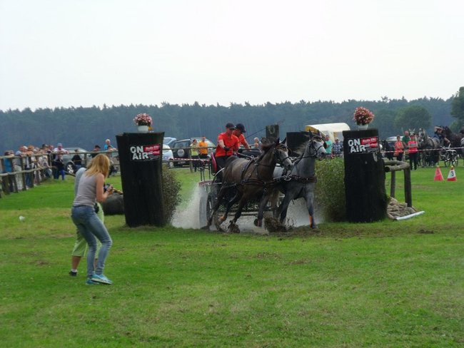 Impreza na szóstkę - zdjęcia