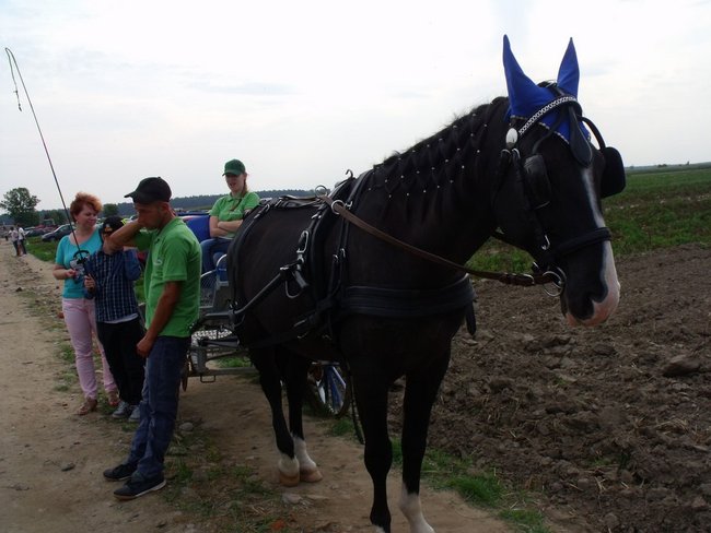 Impreza na szóstkę - zdjęcia