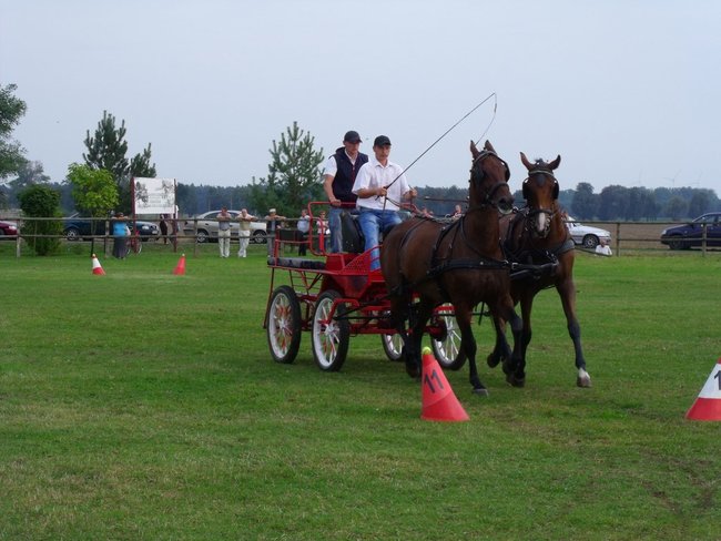 Impreza na szóstkę - zdjęcia