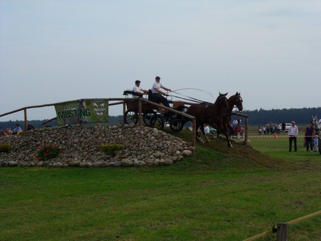Impreza na szóstkę - zdjęcia
