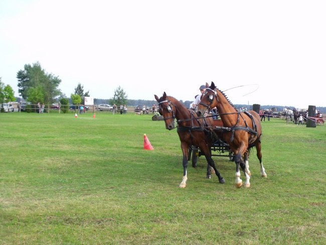 Impreza na szóstkę - zdjęcia