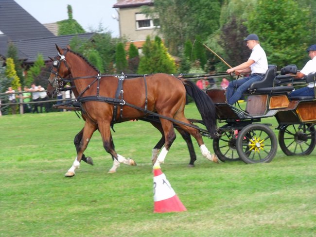 Impreza na szóstkę - zdjęcia