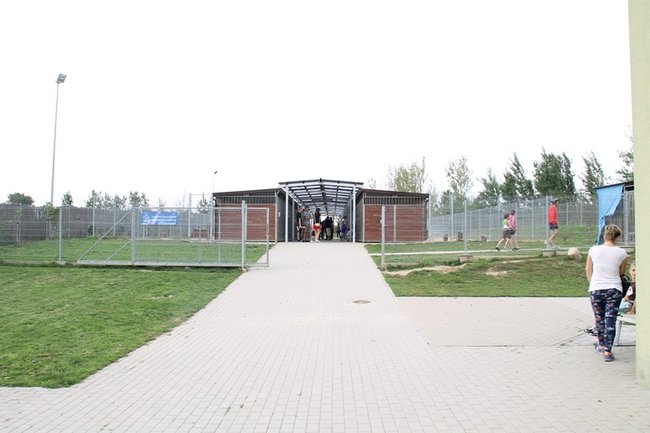 Przybywa porzucanych zwierząt