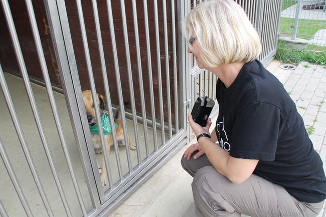 Przybywa porzucanych zwierząt