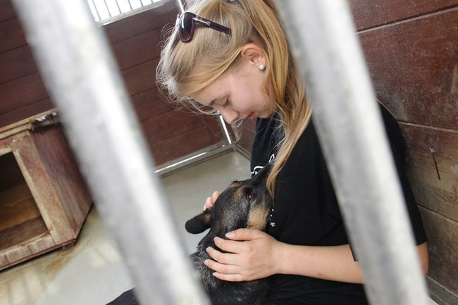 Przybywa porzucanych zwierząt