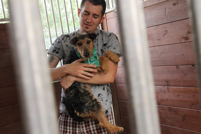 Przybywa porzucanych zwierząt