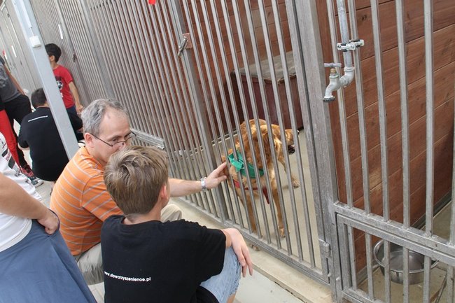 Przybywa porzucanych zwierząt