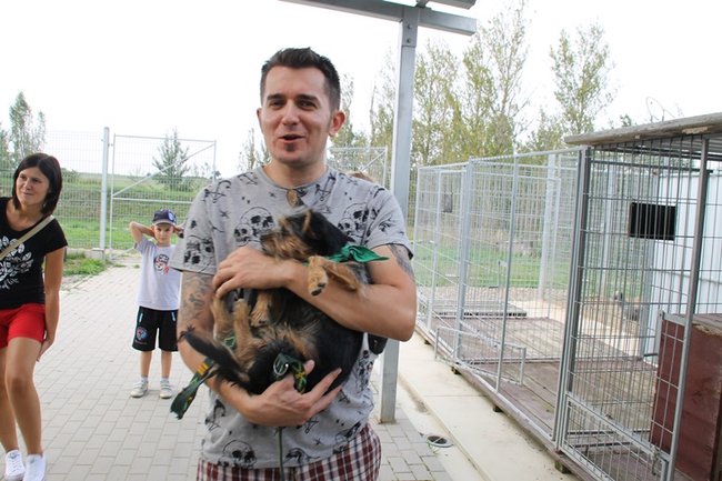 Przybywa porzucanych zwierząt