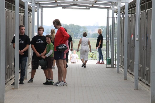 Przybywa porzucanych zwierząt