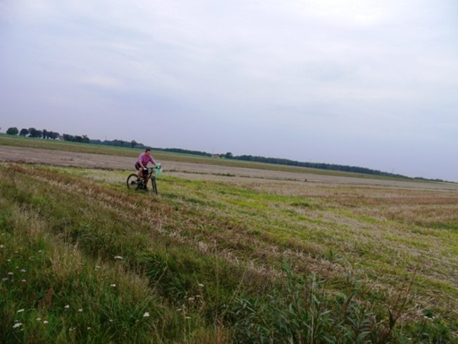 Ekologiczny patrol - zdjęcia