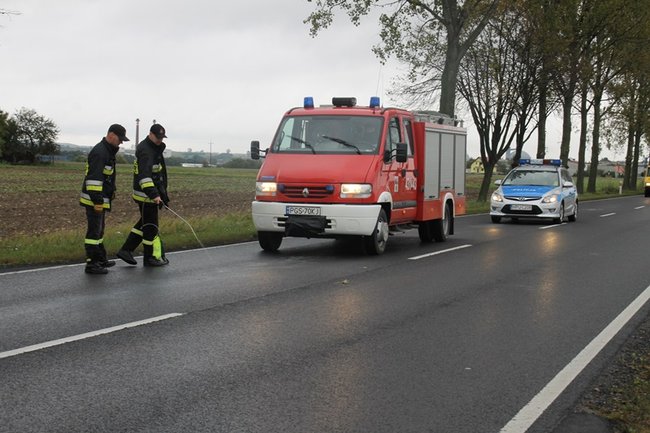 Plama do samego Leszna - zdjęcia