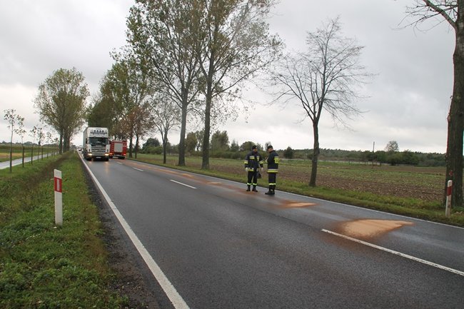 Plama do samego Leszna - zdjęcia