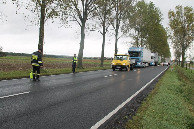 Plama do samego Leszna - zdjęcia