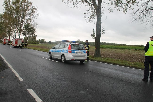 Plama do samego Leszna - zdjęcia