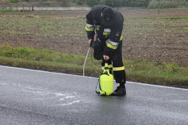 Plama do samego Leszna - zdjęcia