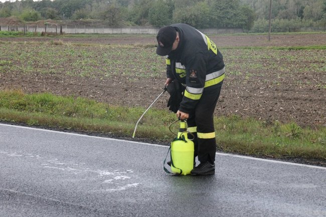 Plama do samego Leszna - zdjęcia