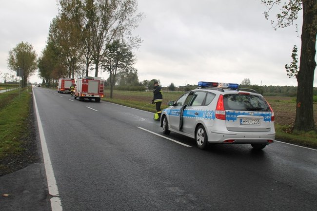 Plama do samego Leszna - zdjęcia