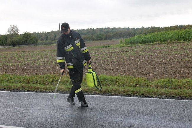 Plama do samego Leszna - zdjęcia