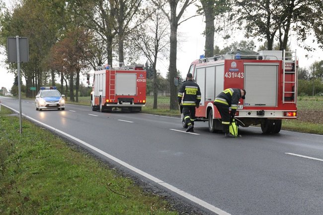 Plama do samego Leszna - zdjęcia