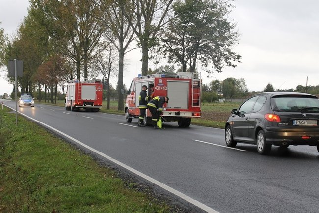 Plama do samego Leszna - zdjęcia
