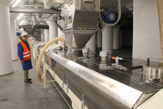 Dyrektor dementuje plotki