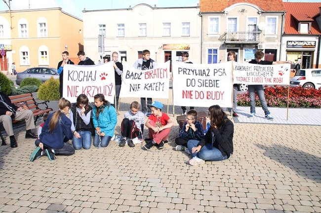 Przykuli się łańcuchami - zdjęcia