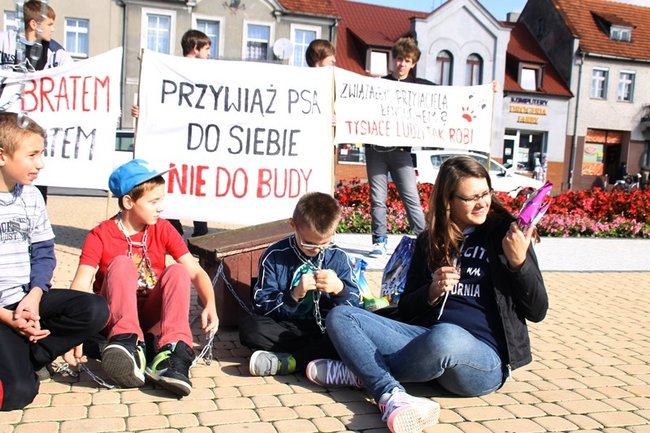 Przykuli się łańcuchami - zdjęcia