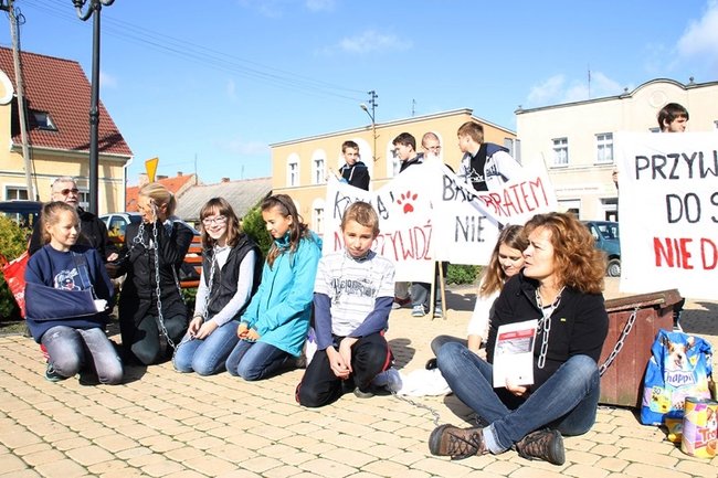 Przykuli się łańcuchami - zdjęcia