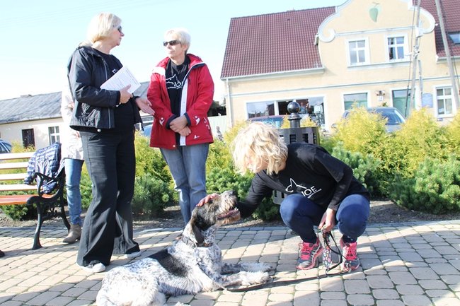 Przykuli się łańcuchami - zdjęcia