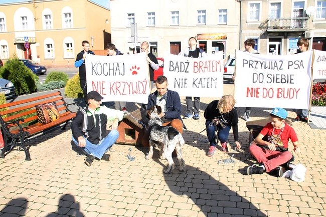 Przykuli się łańcuchami - zdjęcia