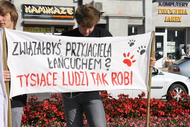 Przykuli się łańcuchami - zdjęcia