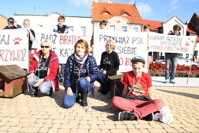 Przykuli się łańcuchami - zdjęcia