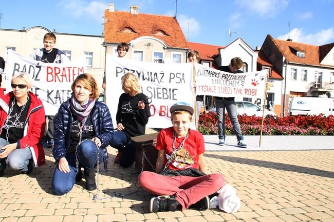 Przykuli się łańcuchami - zdjęcia