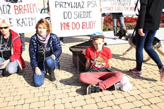 Przykuli się łańcuchami - zdjęcia