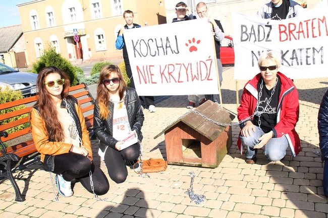 Przykuli się łańcuchami - zdjęcia