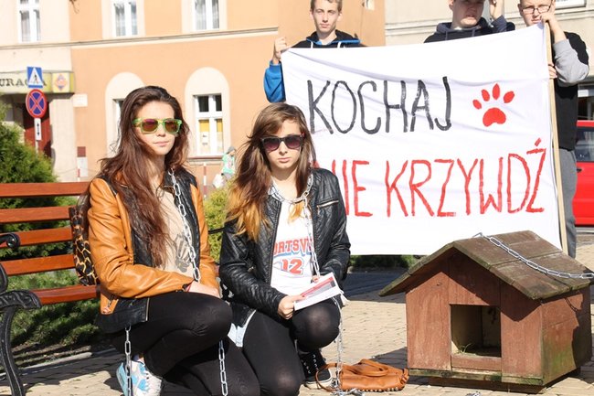 Przykuli się łańcuchami - zdjęcia